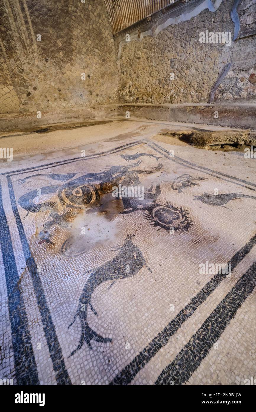 Vue détaillée du sol en mosaïque avec poissons et créatures marines. Aux thermes MasChili de la ville archéologique romaine de ruine, ville si Banque D'Images