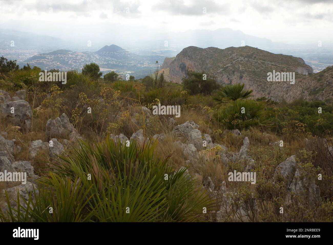 Vue sur la montagne Montgó en Espagne avec son cadre verdoyant et cliffy donnant sur la vallée d'Oliva. Banque D'Images