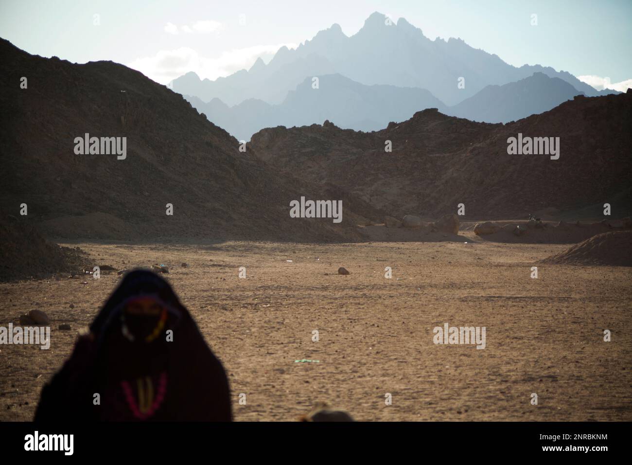 Couleur - la berbère musulmane défoqué dans le voile et le niqab, désert oriental, rgil Banque D'Images