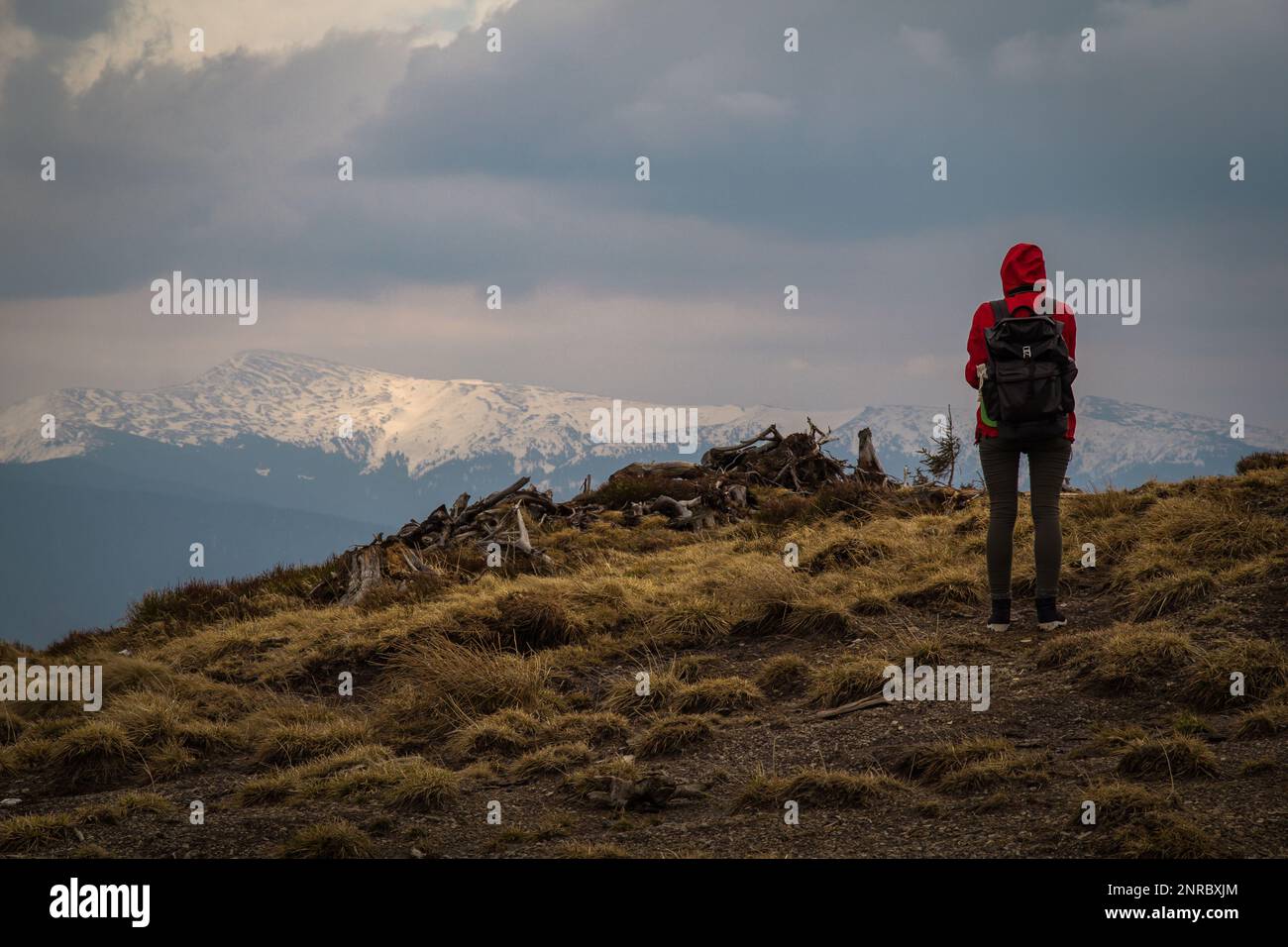 Femme voyageur regardant la photographie panoramique des montagnes Banque D'Images