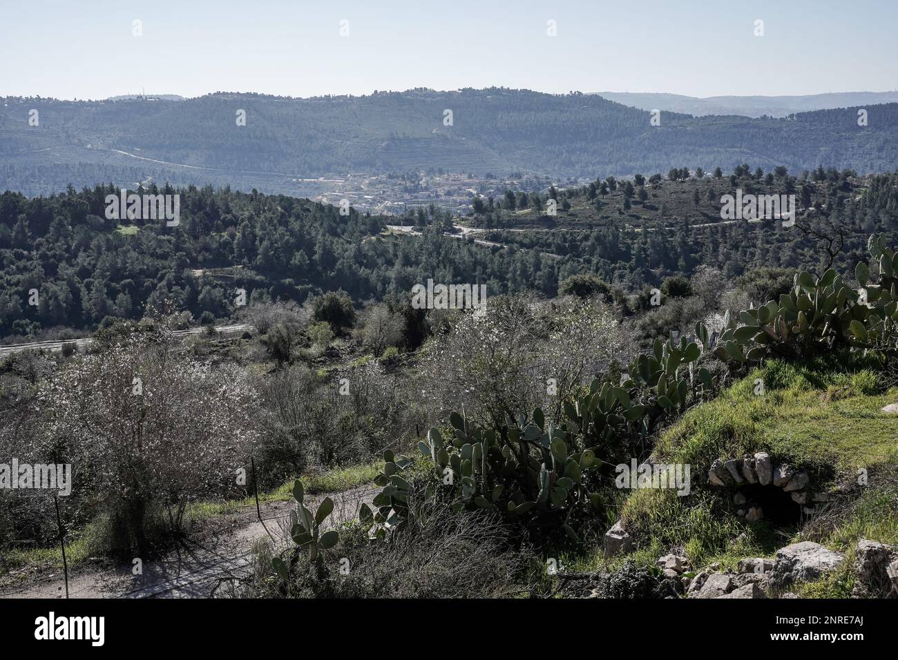 Vue sur tel Tzuba dans les collines de Jérusalem Banque D'Images