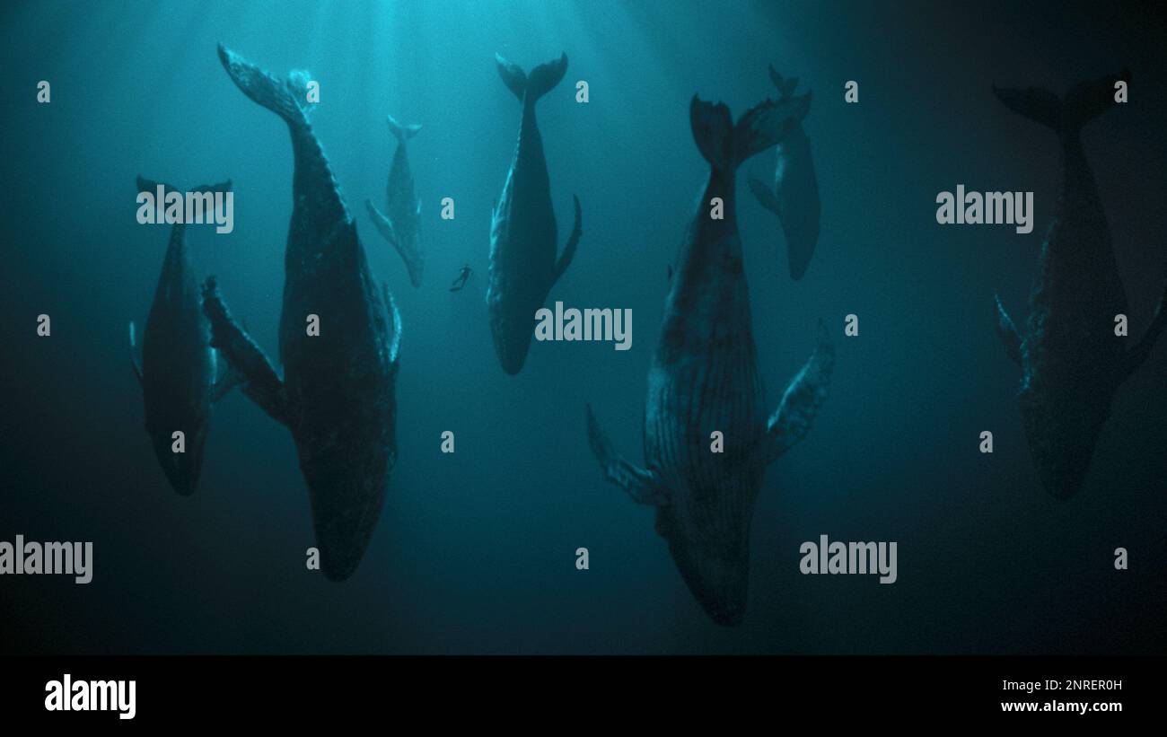 L'ESSAIM (2023), dirigé par BARBARA EDER. Crédit: Zweites Deutsches Fernsehen / Album Banque D'Images