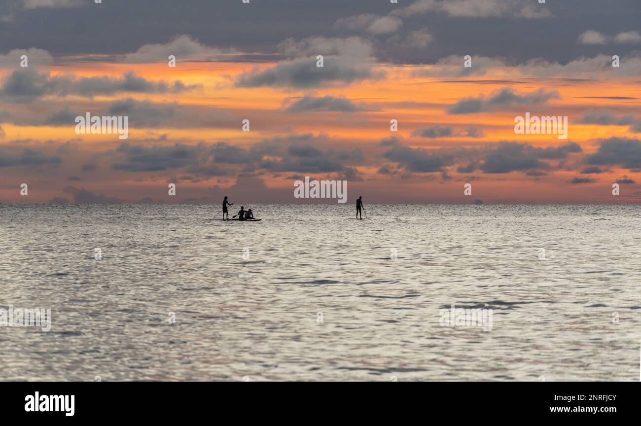 Silhouette de trois personnes sur le stand Up Paddle Board. SUP. Banque D'Images