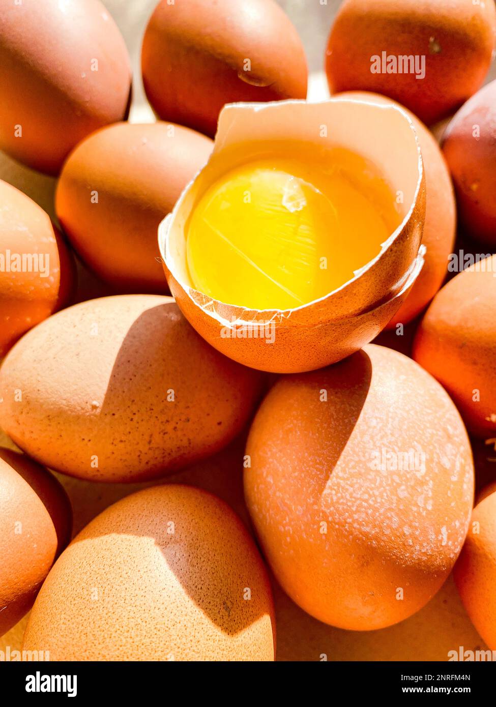 un demi-œuf avec jaune dans un plateau à œufs Banque D'Images