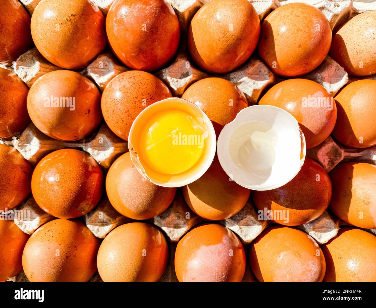 un plateau d'œufs de ferme et un œuf cassé sur le dessus Banque D'Images