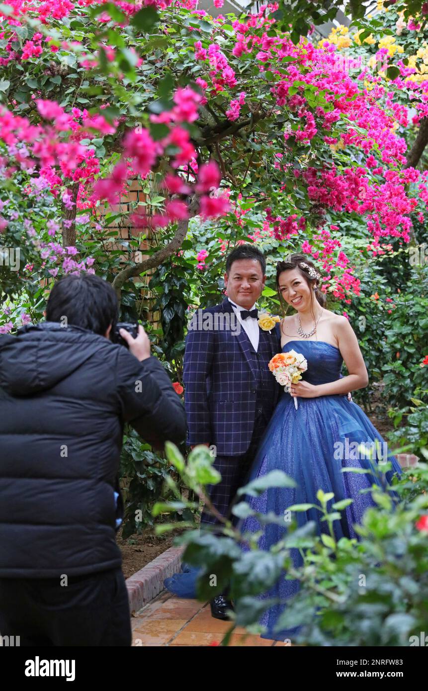 A couple of newlyweds are taken photograph at a greenhouse which is full of colorful flowers at Fukuoka City Botanical Garden in Fukuoka on December 22, 2019. ( The Yomiuri Shimbun via AP Images ) Banque D'Images