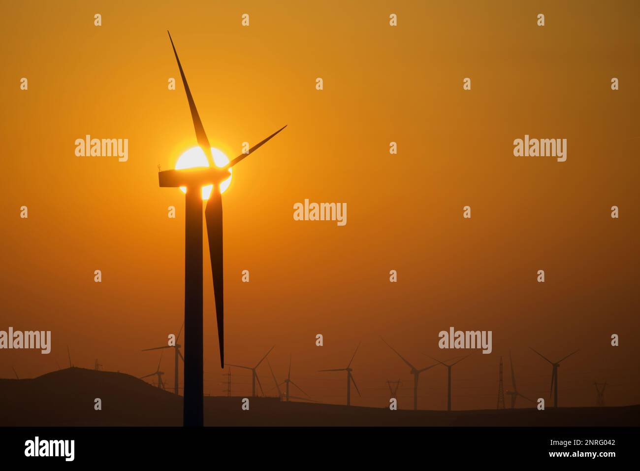 Silhouettes d'un groupe d'éoliennes au lever du soleil sur une colline. Banque D'Images