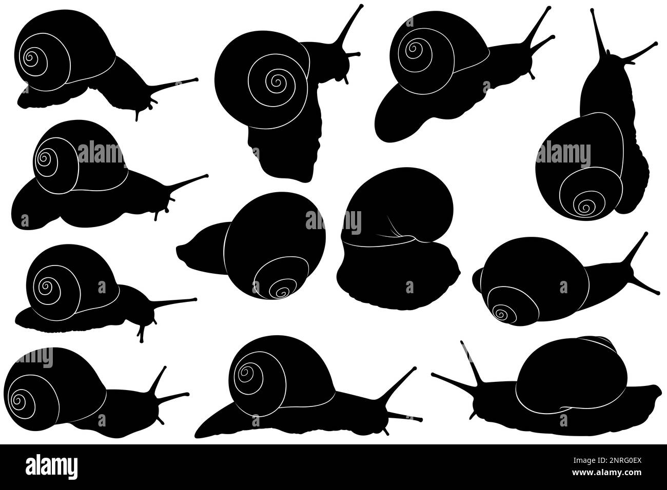 Collection de différentes silhouettes d'escargot isolées sur blanc Banque D'Images