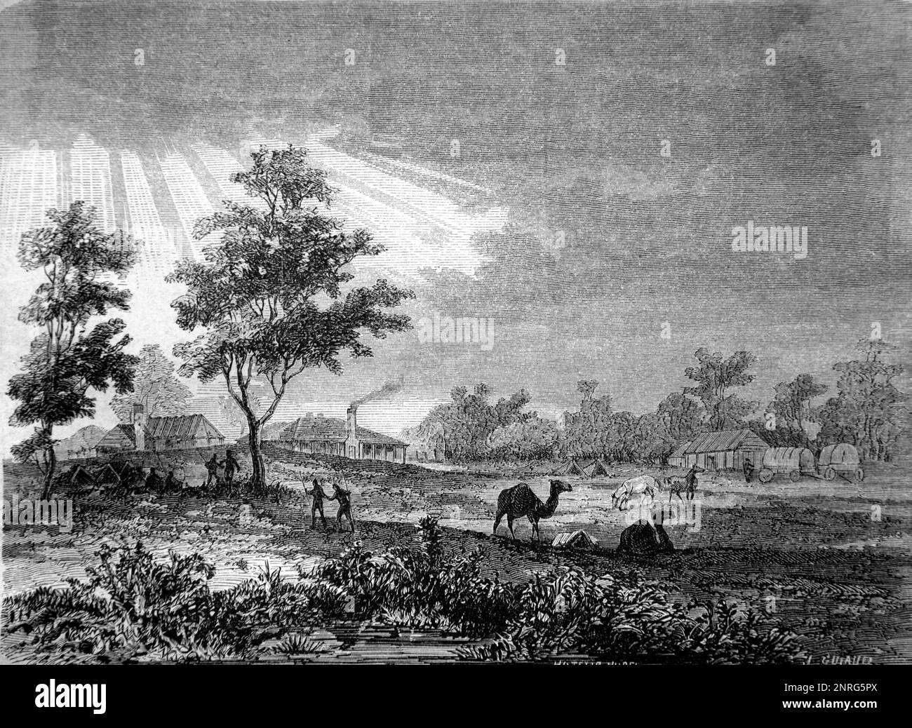 Meninne Farm, alias Menindie, sur la rivière Darling, Nouvelle-Galles du Sud Australie. Gravure ancienne ou illustration 1862 Banque D'Images