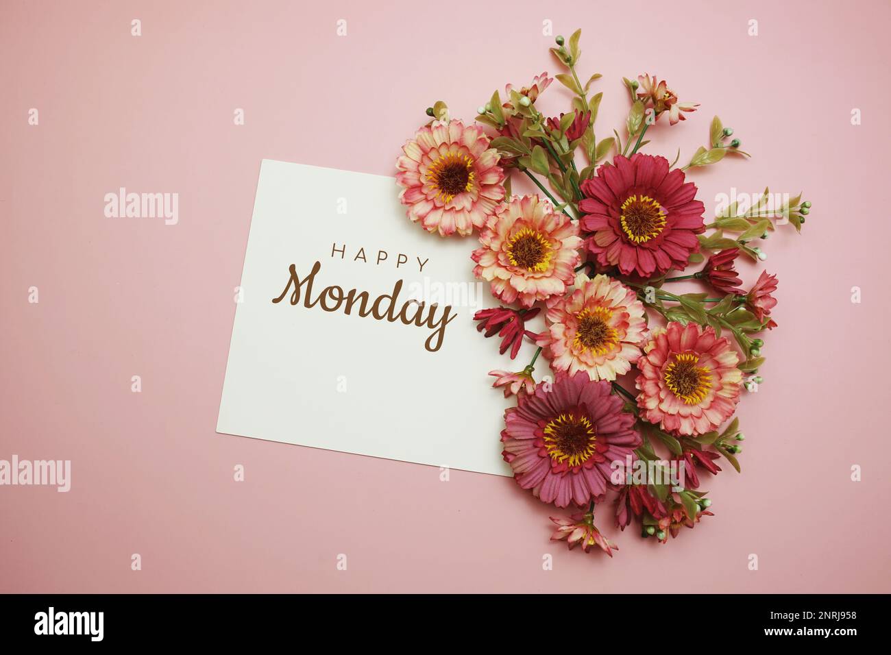 Texte typographique Happy Monday avec fleurs sur fond rose Banque D'Images
