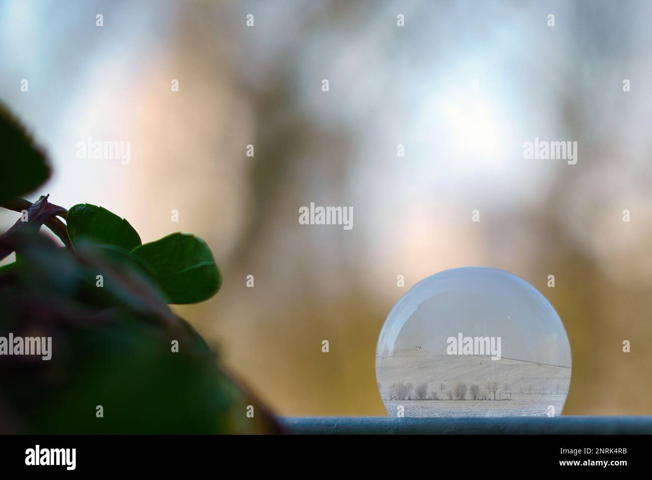 Composition. Bulle de savon surgelé avec paysage d'hiver à l'intérieur. Scène d'hiver. Cristaux de glace Banque D'Images