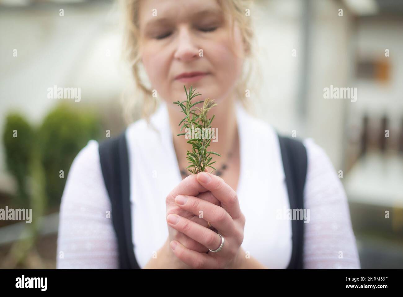 Portrait d'une femme blonde qui sent la feuille de romarin dans le jardin Banque D'Images