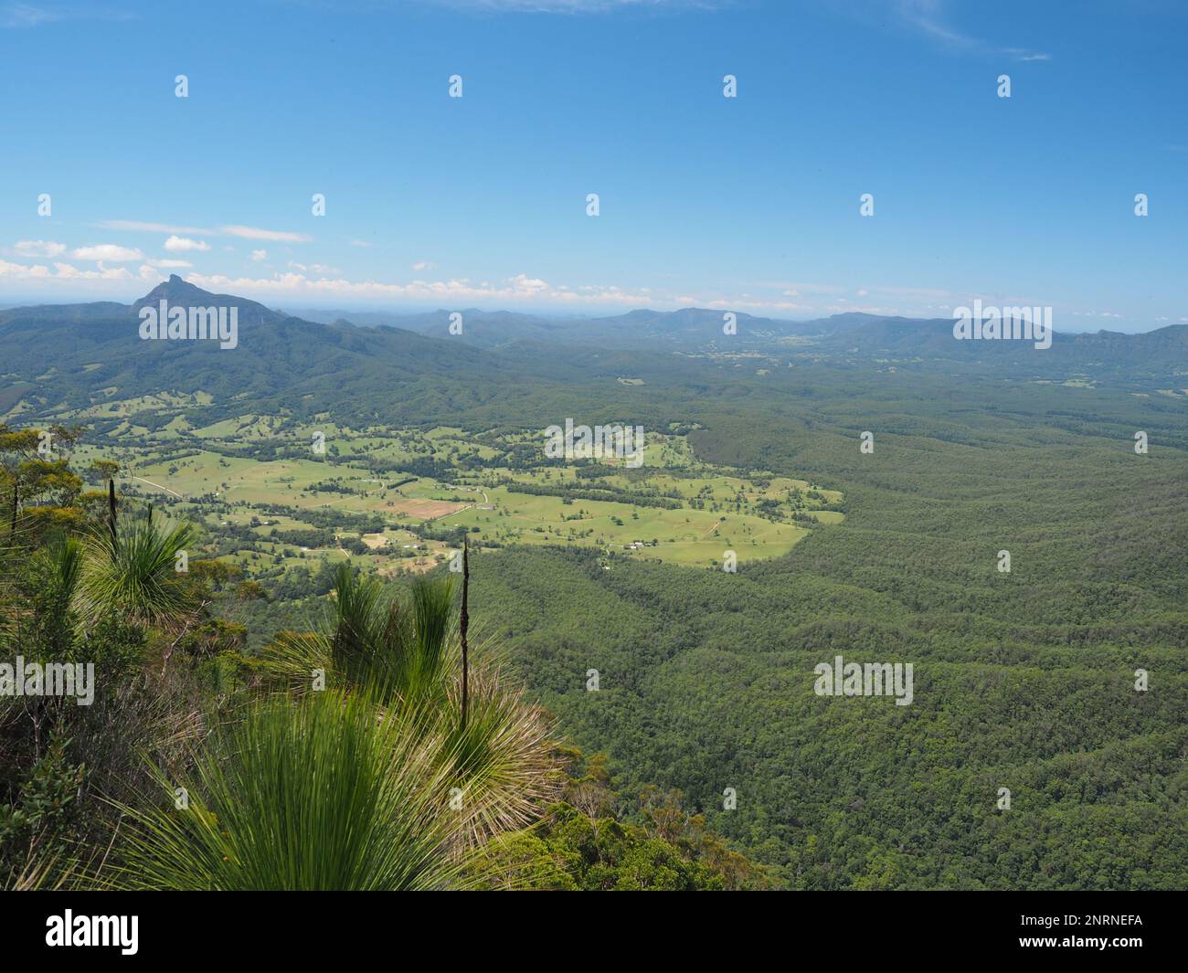 Vue sur l'escarpement de Tweed et le mont Warning depuis la promenade Pinnale, le parc national Border Ranges, Nouvelle-Galles du Sud. Banque D'Images