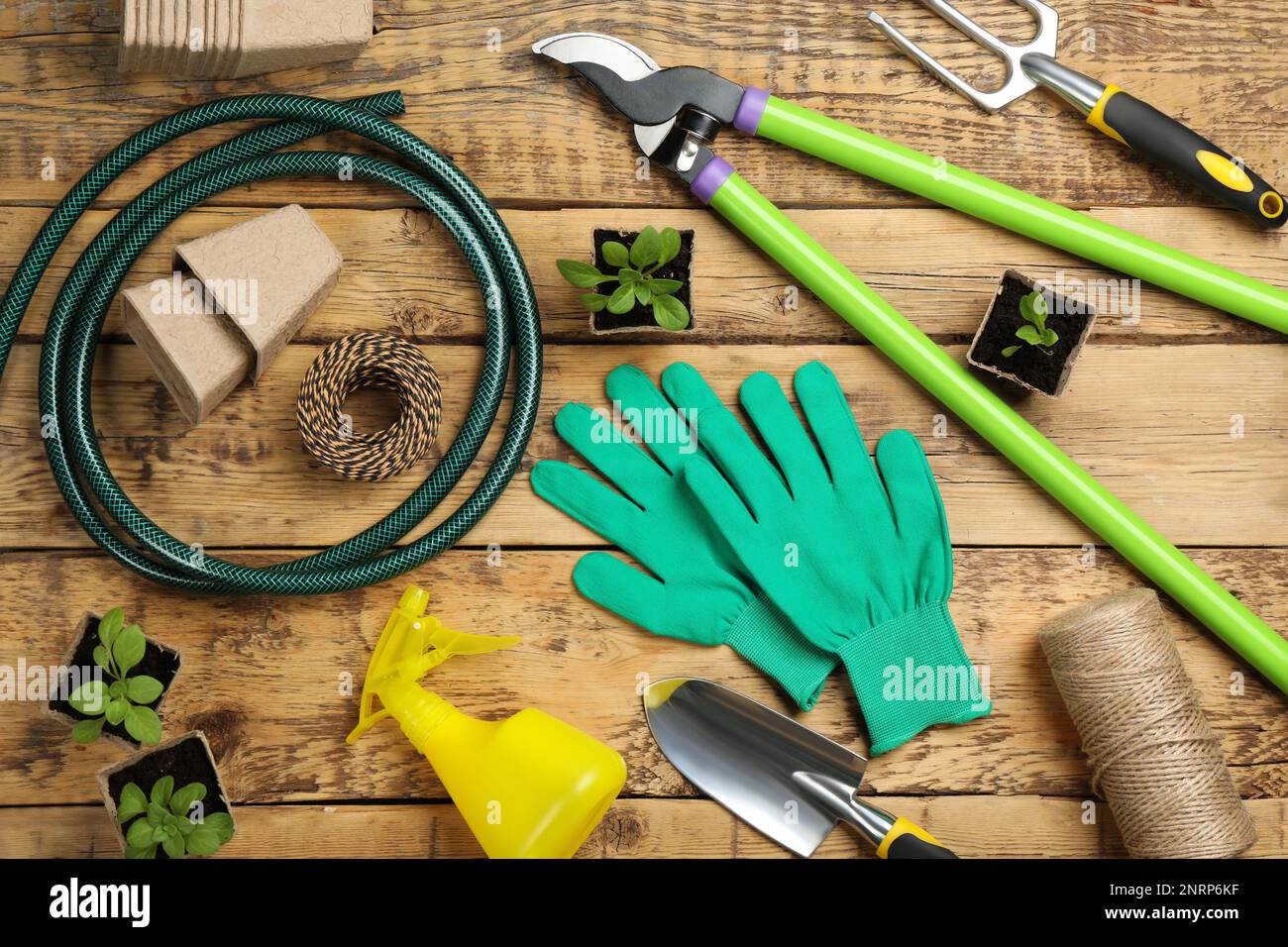 Composition de pose plate avec outils de jardinage et plantes vertes sur fond en bois Banque D'Images