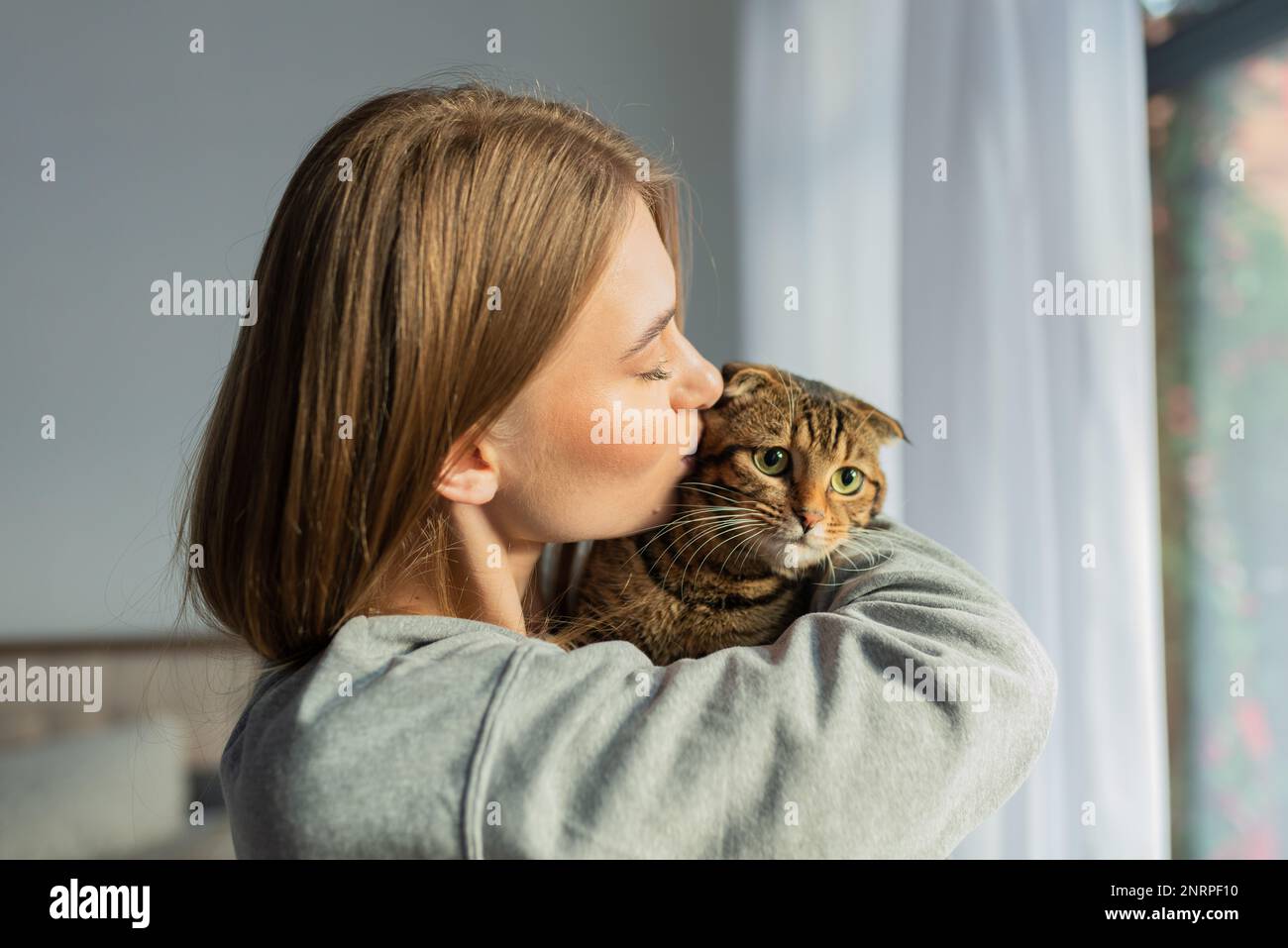 Décontracté jeune femme Blonde tient l'épaule un mignon chat écossais de Tabby à l'oeil vert et l'épouse à la maison à la fenêtre, le concept de l'amour et de prendre soin des animaux de compagnie Banque D'Images