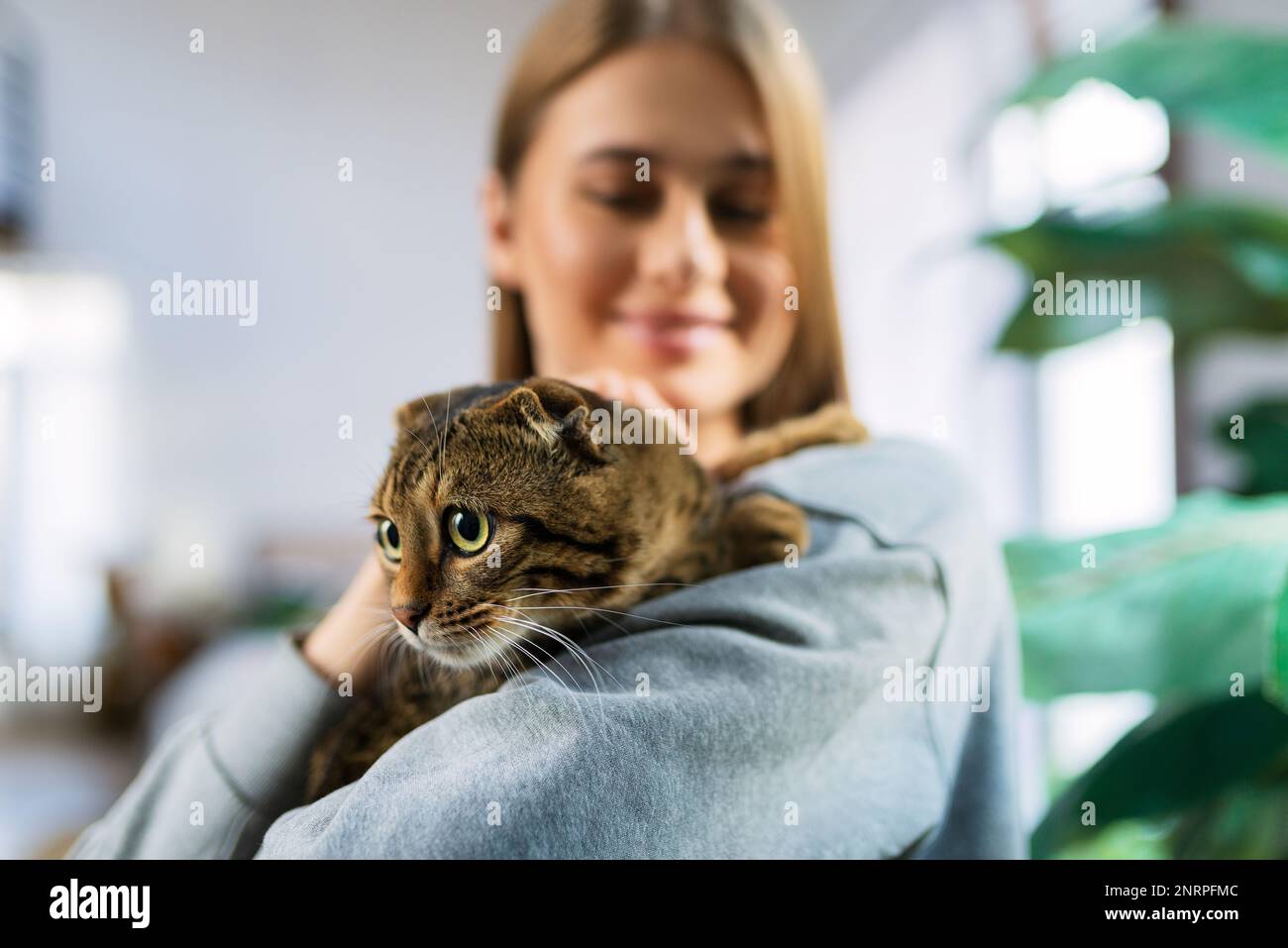 Décontracté jeune femme Blonde tient l'épaule un mignon chat écossais de Tabby à yeux verts et l'épouse à la maison. Le concept d'aimer et de prendre soin des animaux de compagnie Banque D'Images