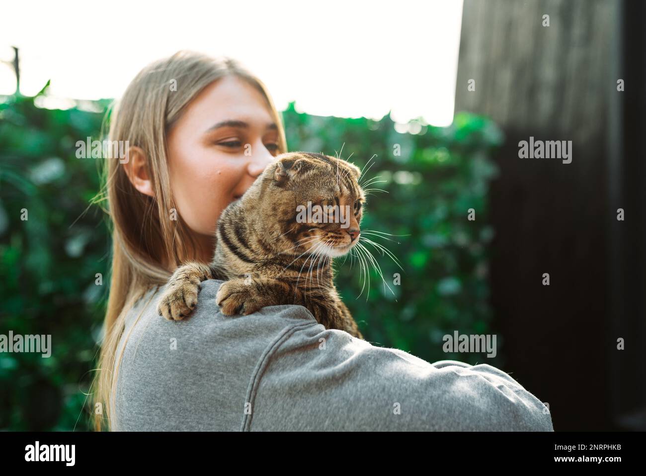 Jolie jeune femme blonde souriante tient un chat écossais aux yeux verts dans ses bras et l'épouse à l'extérieur, concept d'aimer et de s'occuper des animaux de compagnie Banque D'Images