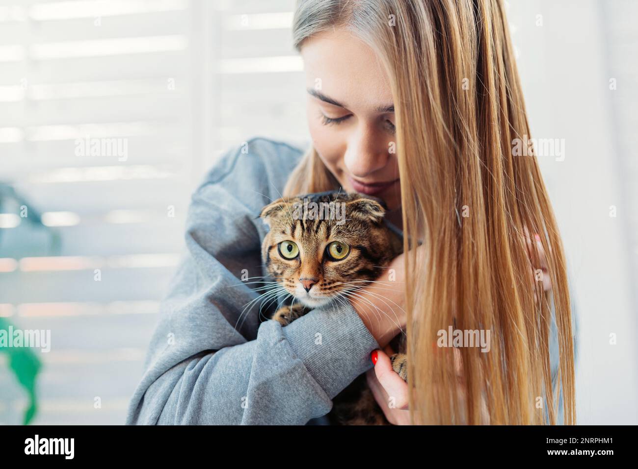 Jolie jeune femme Blonde tient un chat écossais à l'œil vert mignon dans ses bras et l'embrasse à l'extérieur, concept d'aimer et de prendre soin des animaux de compagnie Banque D'Images