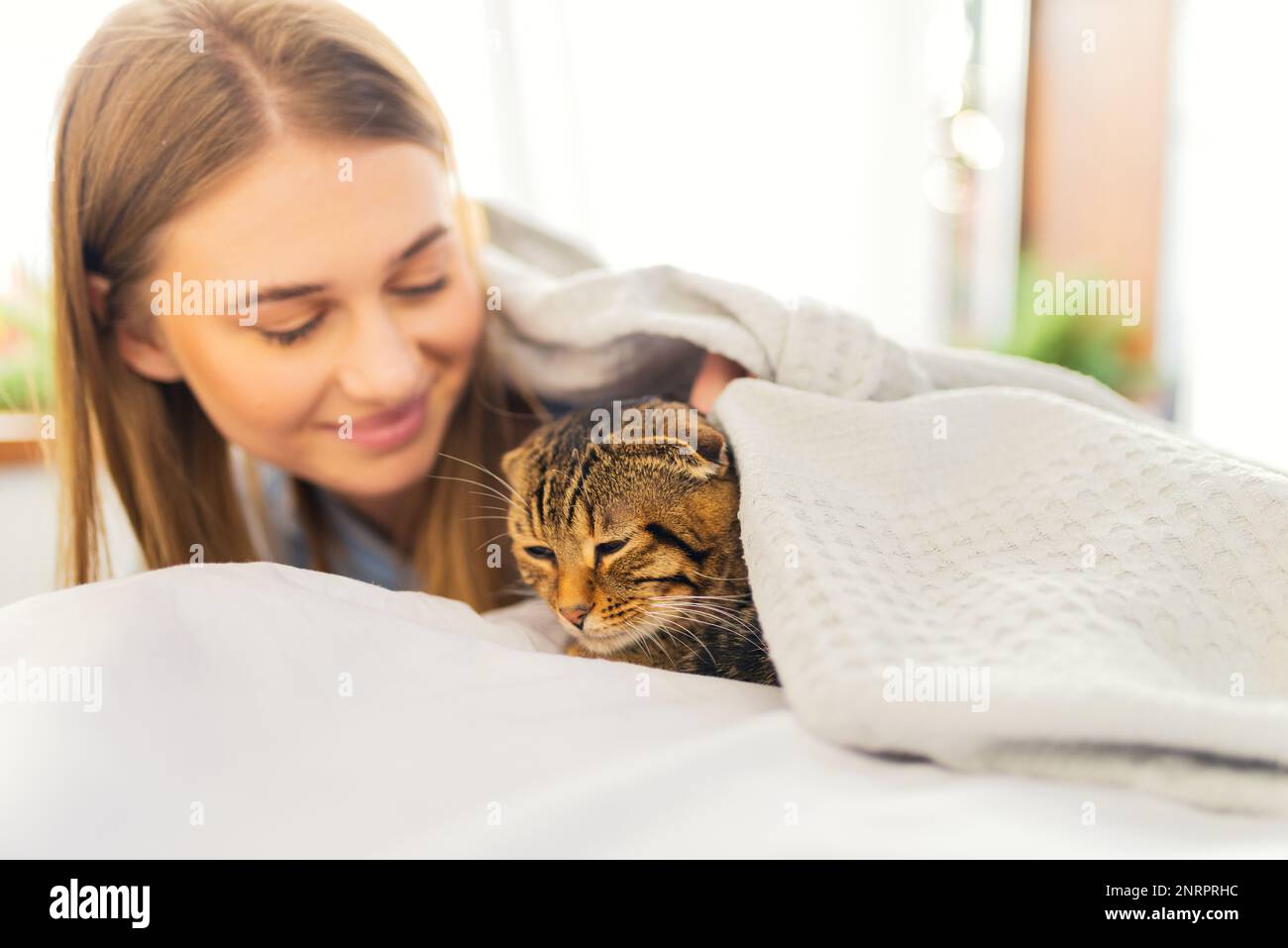 Jolie jeune femme blonde souriante couchée sur un lit jouant un chat écossais tabby à l'œil vert mignon, le concept de l'amour et de l'entretien des animaux de compagnie, les adoptant Banque D'Images