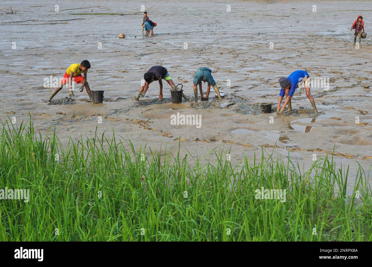 À Sylhet, Bangladesh. 27th févr. 2023. Les enfants ruraux collectent des poissons avec les mains des Mud. Alors que tous les villageois sont occupés à pêcher à Pukuria Hawr de Bais tila région de l'Union Khadim Nagar de Sylhet. Cette Hawr a été asséchée avec une machine à pompe à eau, et les villageois ramasent le poisson avec les mains de Mud's. Le 27 février 2023 à Sylhet-Bangladesh (photo de MD Rafayat Haque Khan/ Eyepix Group) (photo d'Eyepix/Sipa USA) crédit: SIPA USA/Alay Live News Banque D'Images