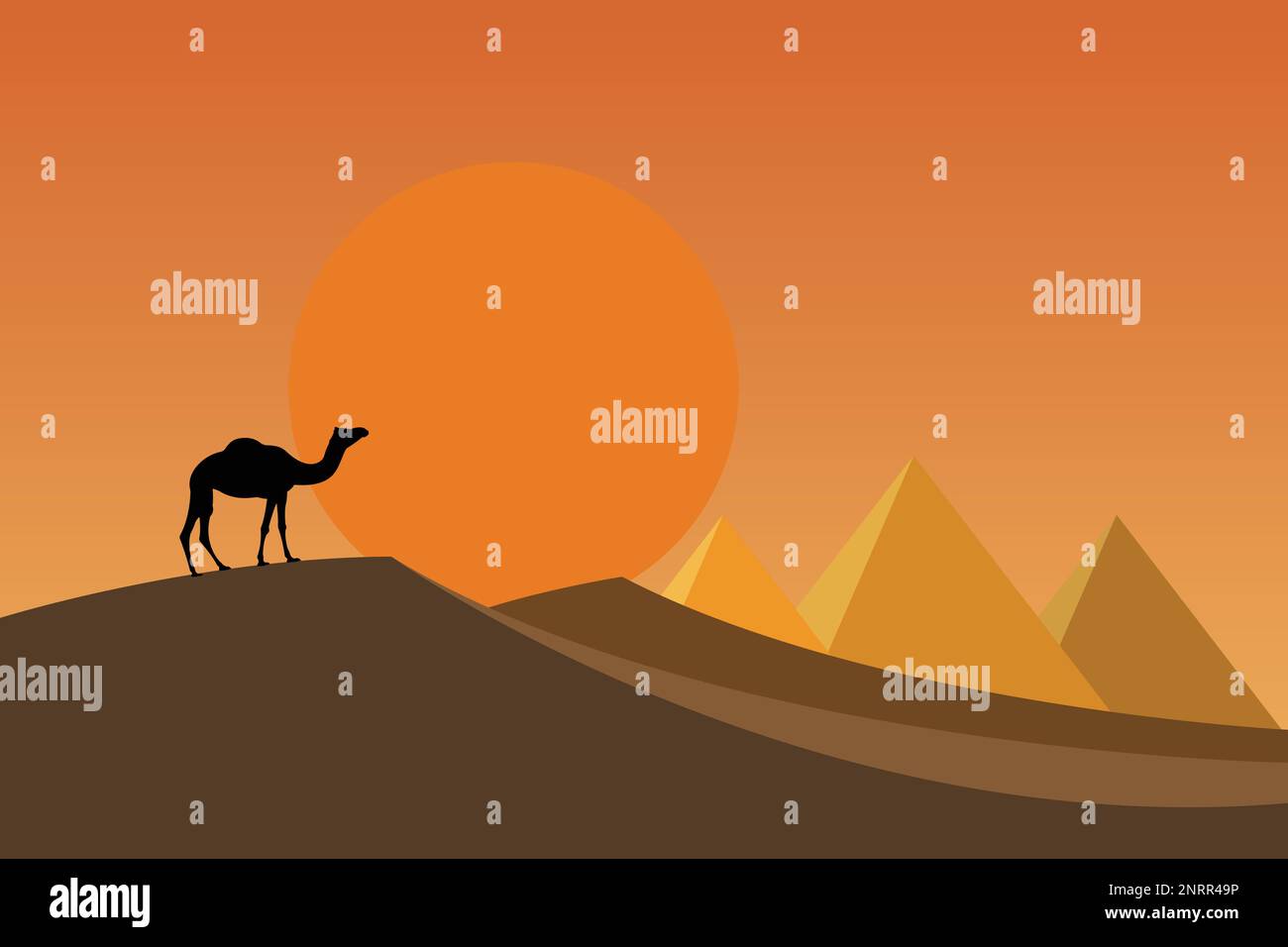 Silhouette de chameau sur les dunes dans le désert Illustration de Vecteur