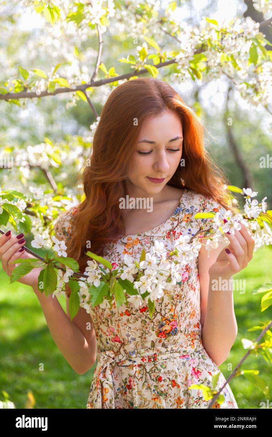 Jeune fille de cheveux de gingembre près blanc tendre arbre de fleur. ambiance rêveur féérique du printemps et de l'été. Belle femme romantique souriante mariée, mariage Banque D'Images