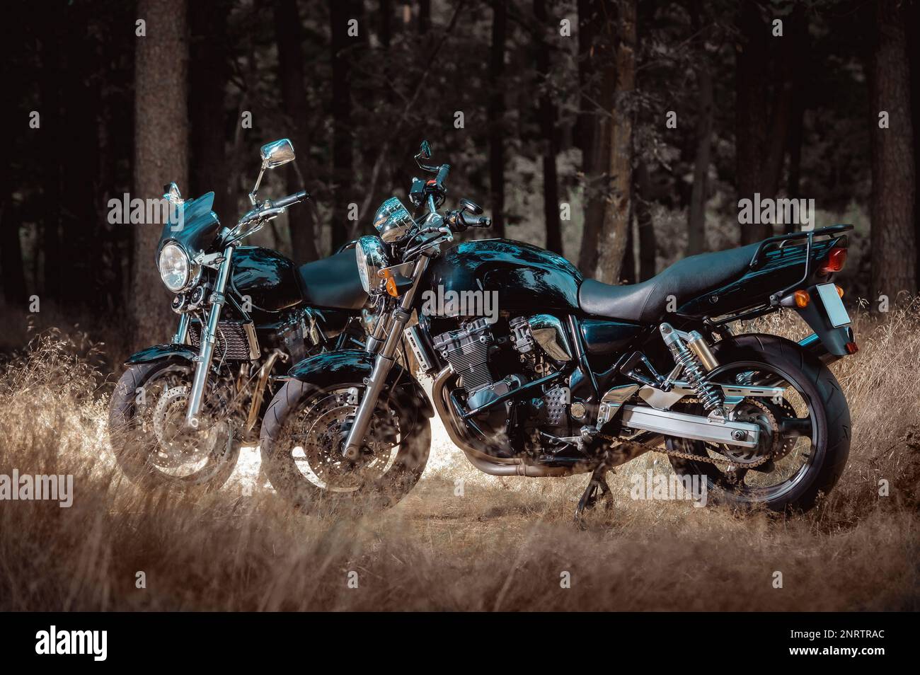 deux motos de croisière dans la forêt, couleurs rétro Banque D'Images