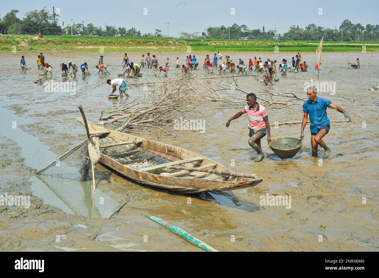 Non exclusif: 27 février 2023 à Sylhet-Bangladesh: Les villageois sont occupés à pêcher à Pukuria Hawr de Bais tila zone de l'Union Khadim Nagar de Sylhet. Banque D'Images