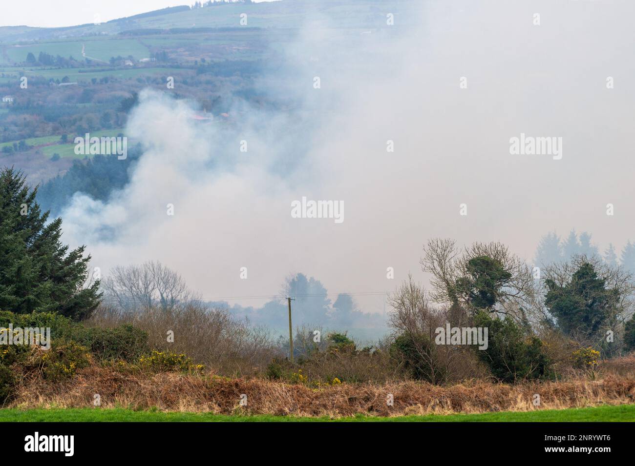 Bawnbue, West Cork, Irlande. 27th févr. 2023. Des incendies de gorge ont été allumés par des personnes inconnues à West Cork au cours des dernières 24 heures. Un de ces incendies près de Bawnbue, juste à l'ouest de Drimoleague, commence à s'immobiliser et se répand en raison des vents violents dans la région. Crédit : AG News/Alay Live News Banque D'Images
