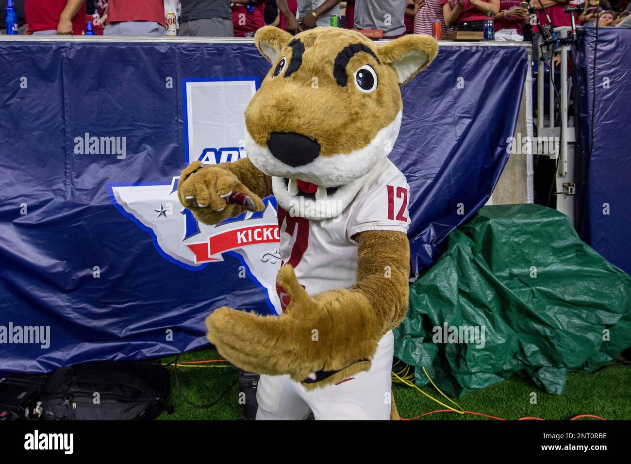 September 13, 2019: Washington State Cougars mascot Butch during the 3rd quarter of an NCAA football game between the Washington State Cougars and the Houston Cougars at NRG Stadium in Houston, TX. Washington State won 31 to 24...Trask Smith/CSM(Credit Image: © Trask Smith/CSM via ZUMA Wire) (Cal Sport Media via AP Images) Banque D'Images
