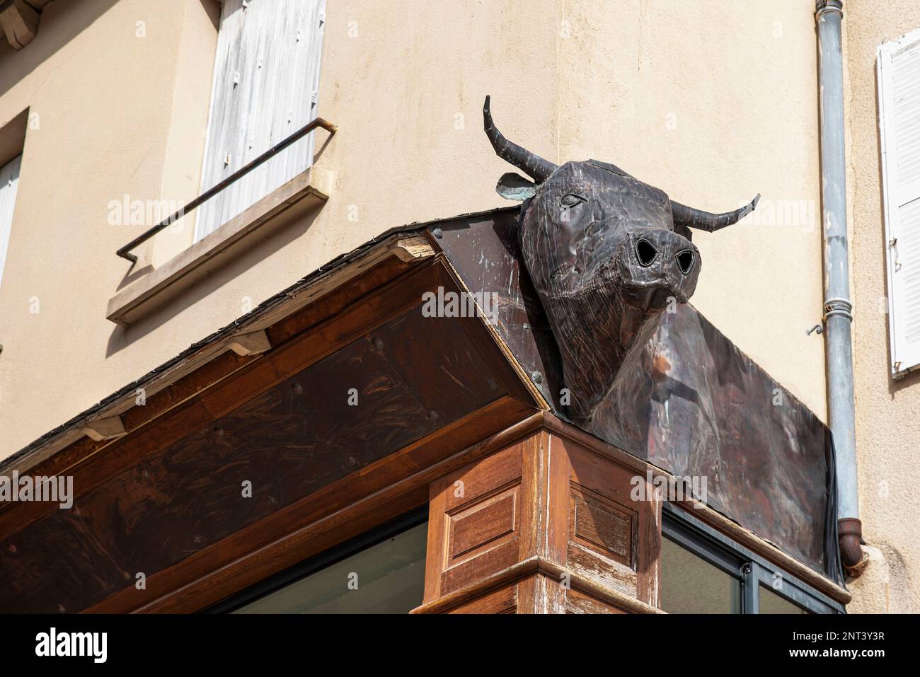 Tête de bœuf métallique sur un mur de magasin Banque D'Images
