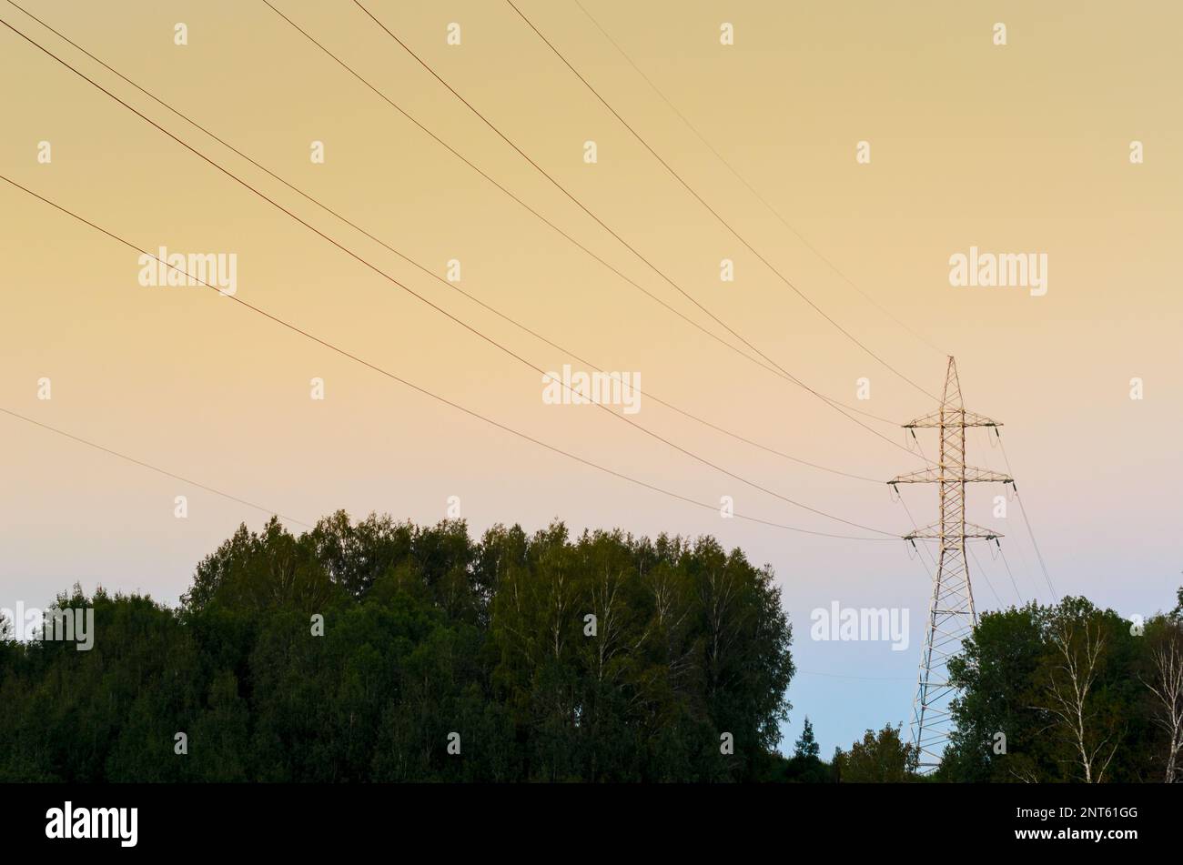 Le support d'ancrage d'extrémité des lignes électriques aériennes avec des fils est à l'horizon sur un coucher de soleil lumineux dans la forêt à travers des barres métalliques et des tiges, des cadres. Banque D'Images