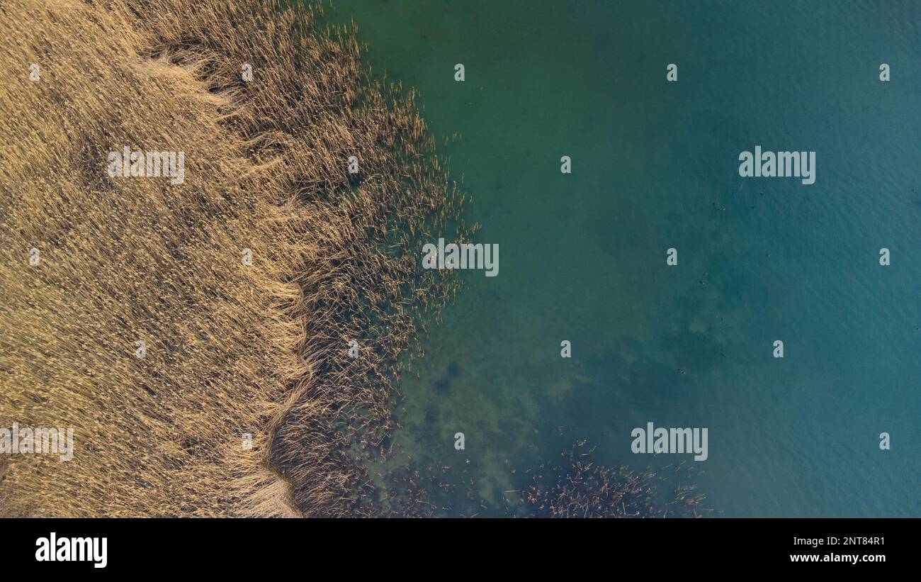 Vue aérienne sur le lac et les roseaux. Lac Saparca en Turquie. Le niveau d'eau du lac a diminué en raison de la sécheresse. Mise au point sélective incluse. Bruit et grain inclus Banque D'Images