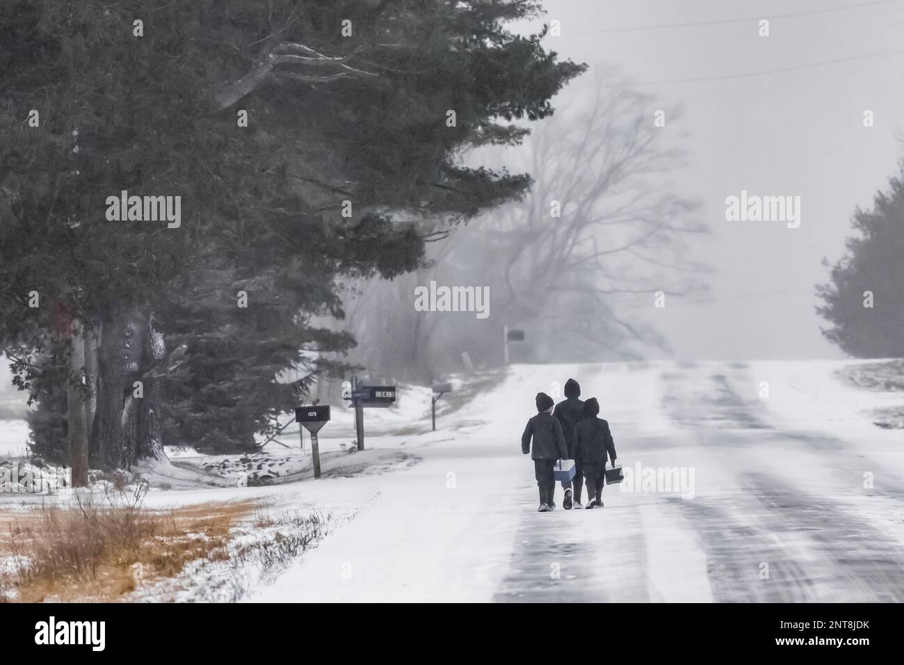 Les garçons Amish rentrent de l'école le long d'une route arrière enneigée dans le centre du Michigan, aux États-Unis [pas de version du modèle; licence éditoriale uniquement] Banque D'Images