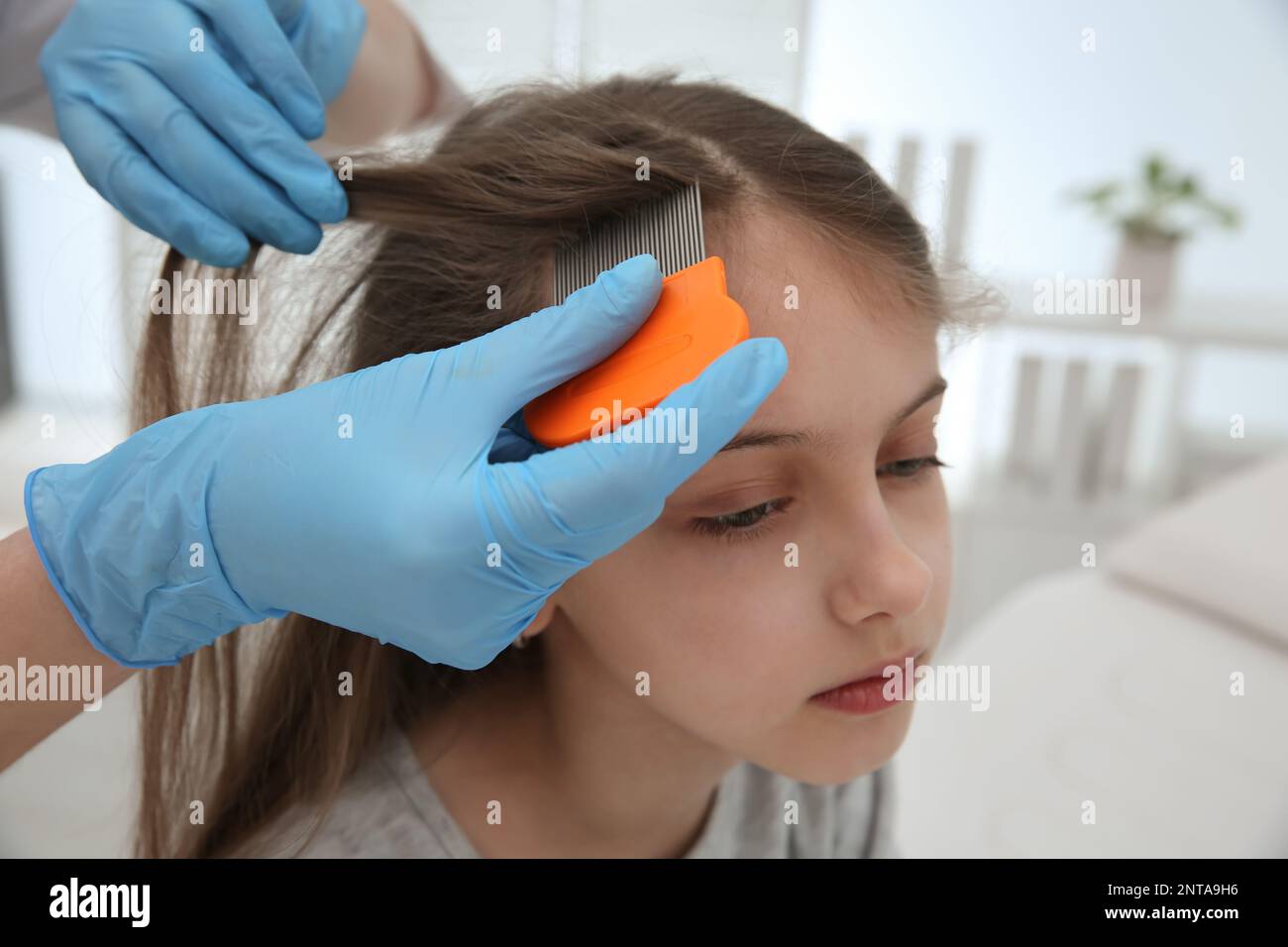 Médecin utilisant le peigne Nit sur les cheveux de la fille en clinique. Traitement anti-poux Banque D'Images