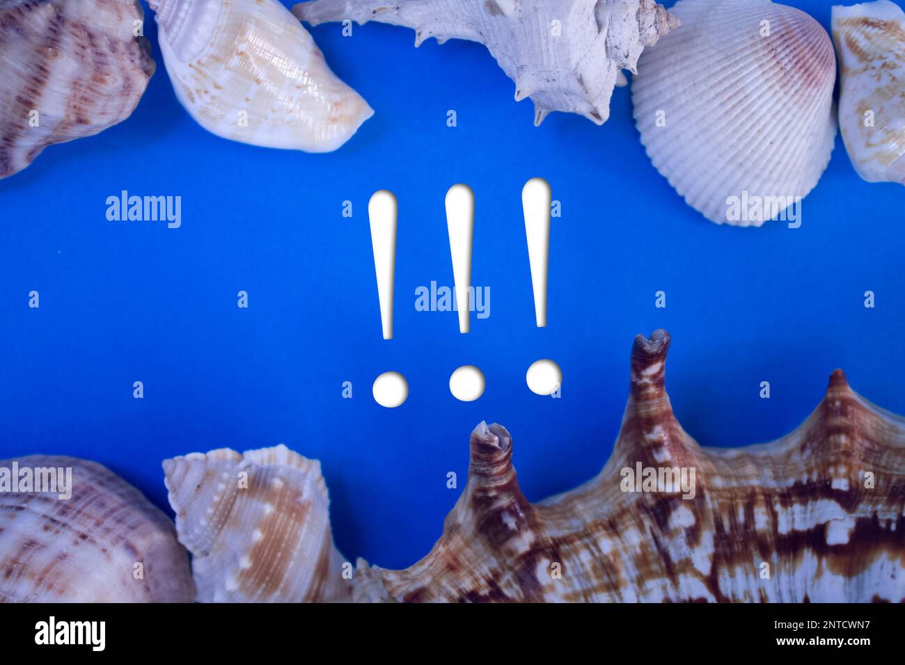 Animal Shell, vacances d'été, fond marin avec texte point d'exclamation. Banque D'Images