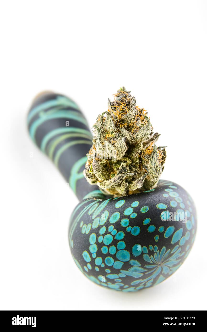 Marijuana, Cannabis sativa bourgeon a soutenu dans un bol de pipe de verre avec un fond blanc et un espace de copie. Banque D'Images