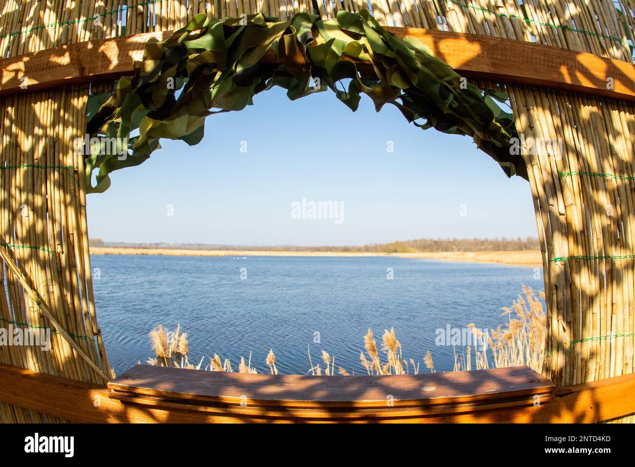 Nature Photographie Photographie du stand d'observation Banque D'Images