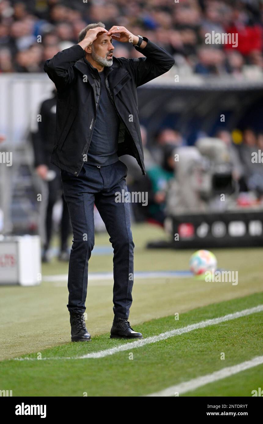 Coach Pellegrino Matarazzo TSG 1899 Hoffenheim, en colère, déçu, geste, gestes sur le banc de touche, Coaching zone, PreZero Arena, Sinsheim Banque D'Images