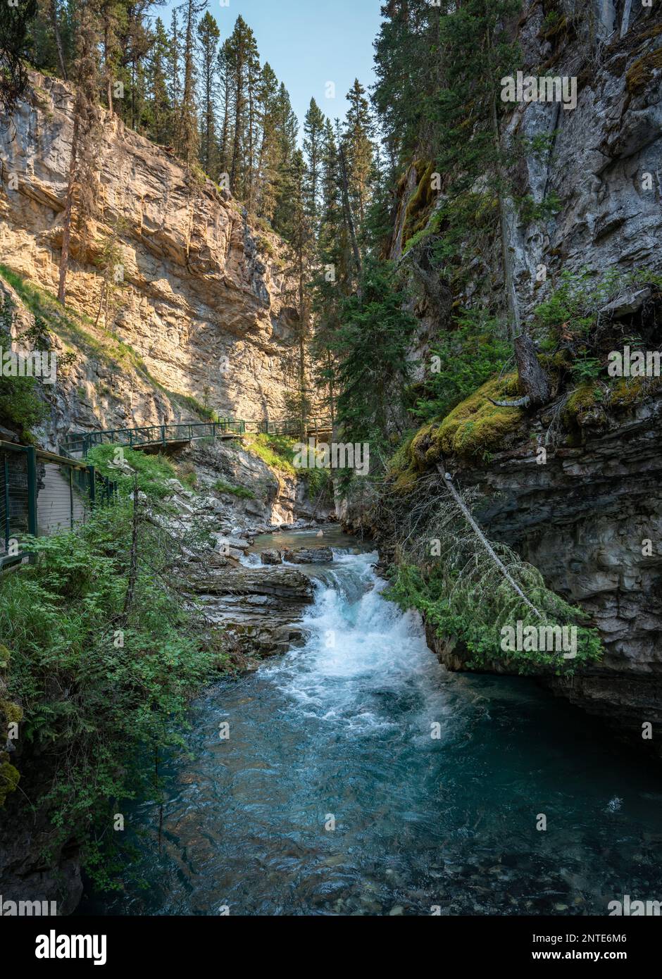 Paysage du Johnston Canyon dans un sentier touristique populaire de randonnée dans le parc national Banff. Banque D'Images
