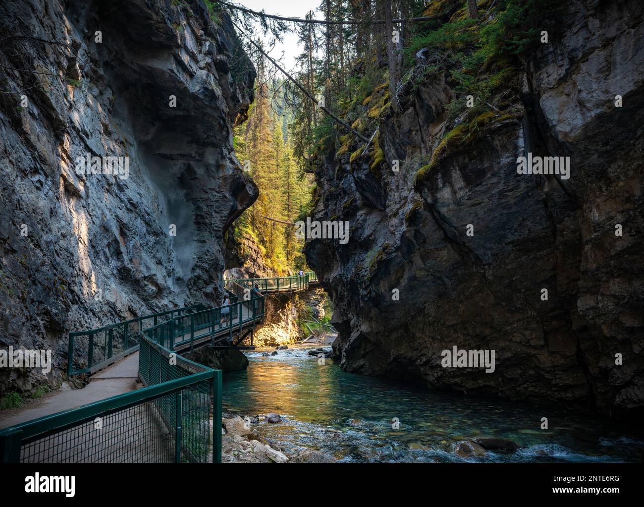 Paysage du Johnston Canyon dans un sentier touristique populaire de randonnée dans le parc national Banff. Banque D'Images