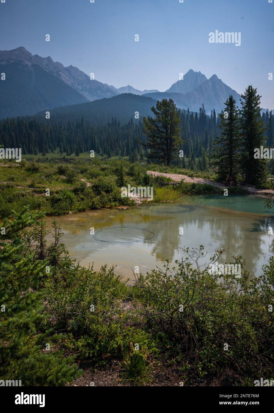 Paysage de la marmites d'encre dans le parc national Banff, en Alberta, au Canada. Banque D'Images