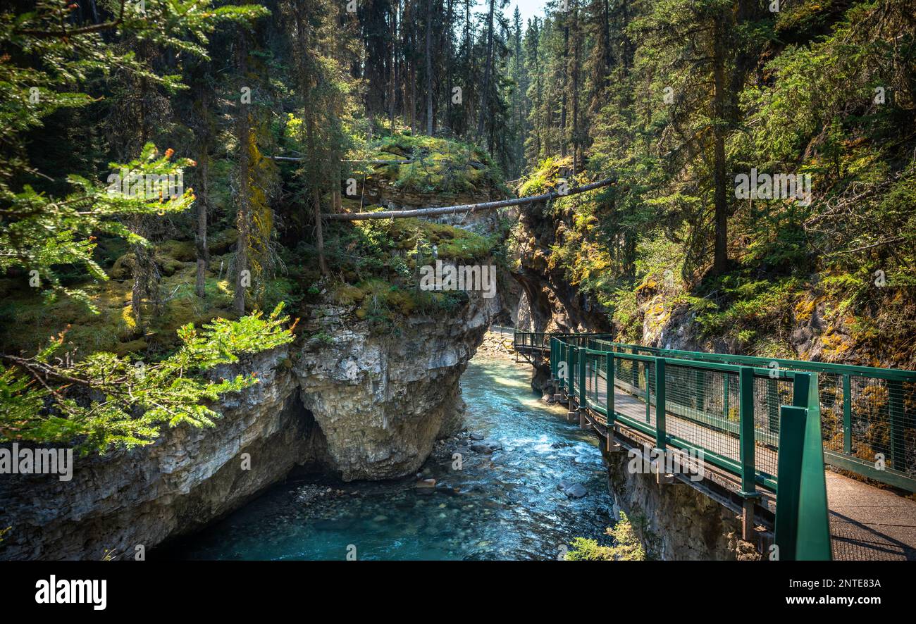 Paysage du Johnston Canyon dans un sentier touristique populaire de randonnée dans le parc national Banff. Banque D'Images