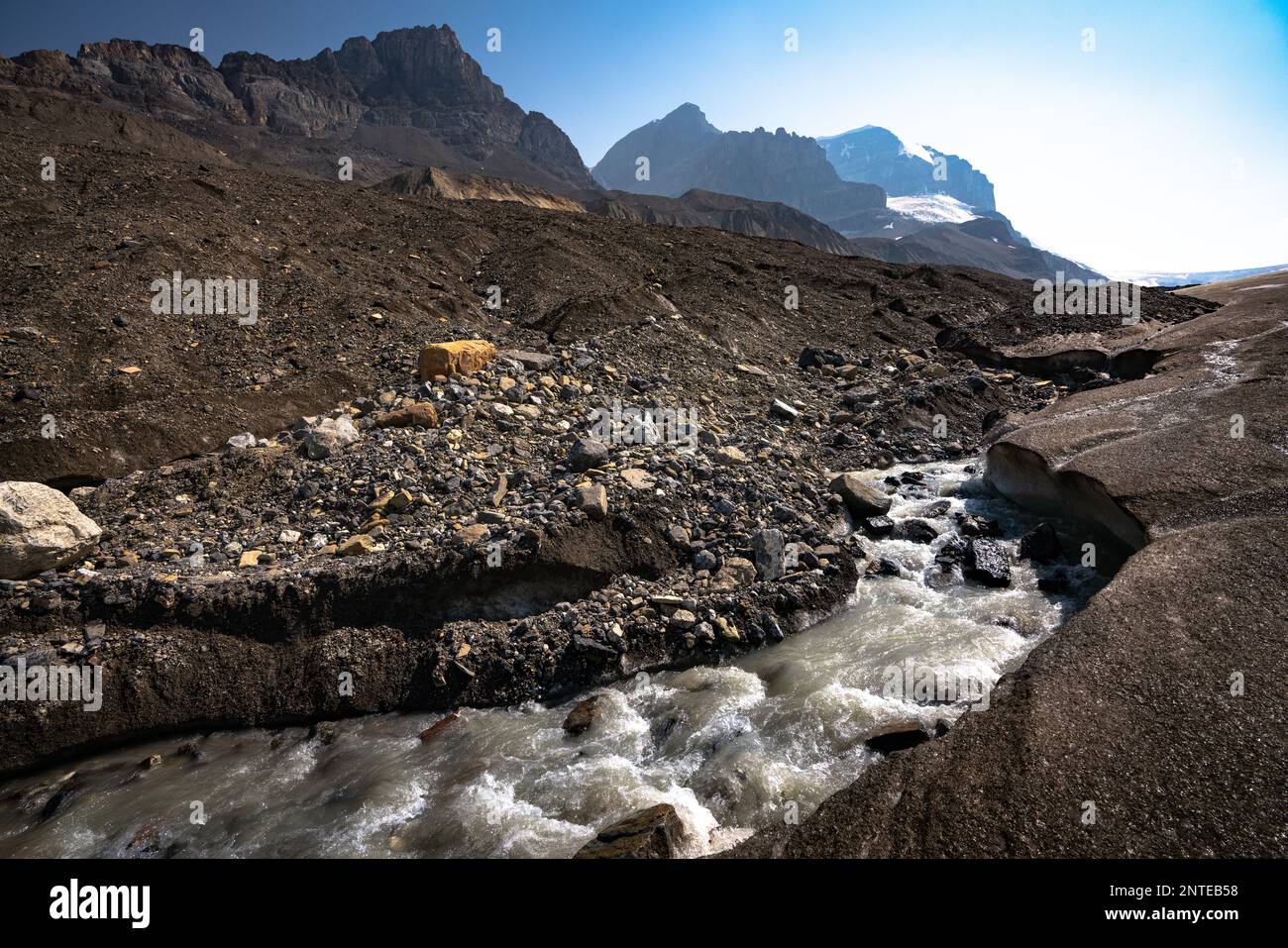 Paysage de montagnes rocheuses L'eau coule en Alberta au glacier Athabasca Banque D'Images
