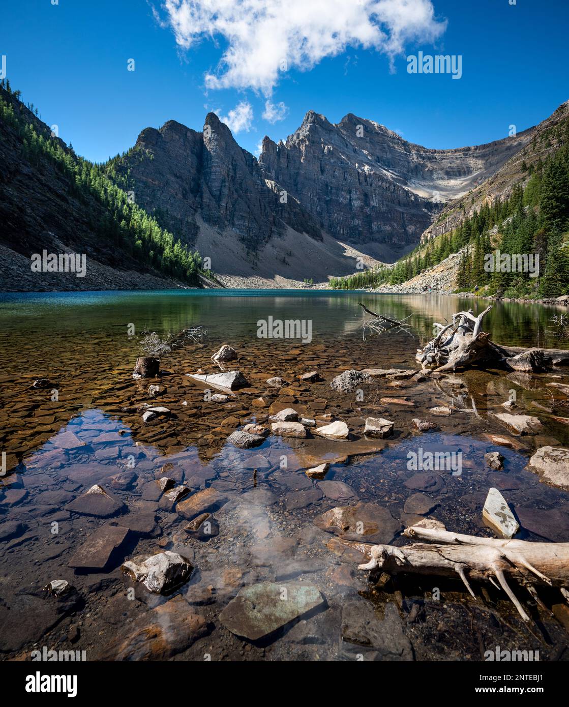 Paysage de montagnes Rocheuses par une journée d'été ensoleillée le long de la randonnée de la maison de thé de Lake Louise. Banque D'Images