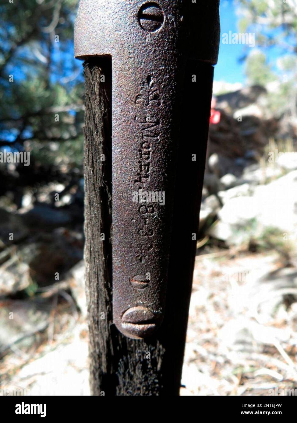 FILE This image provided by the Great Basin National Park shows a