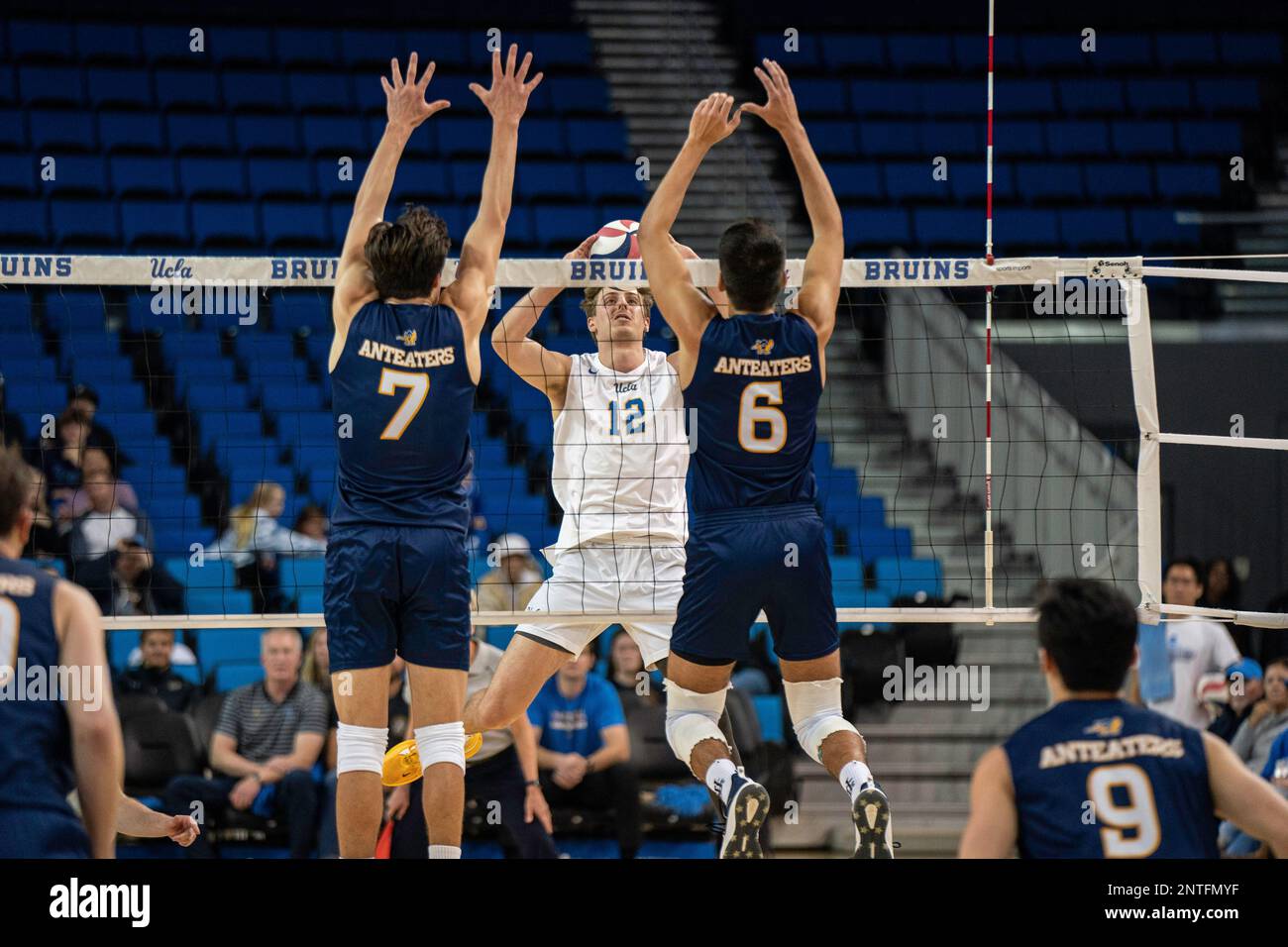 Bruins de l'UCLA à l'extérieur de la hitter Travis Knight (12) lors d'un match de volley-ball de la NCAA contre les participants de l'UCI, samedi, 26 février 2023, au Pavillon Pauley, je Banque D'Images