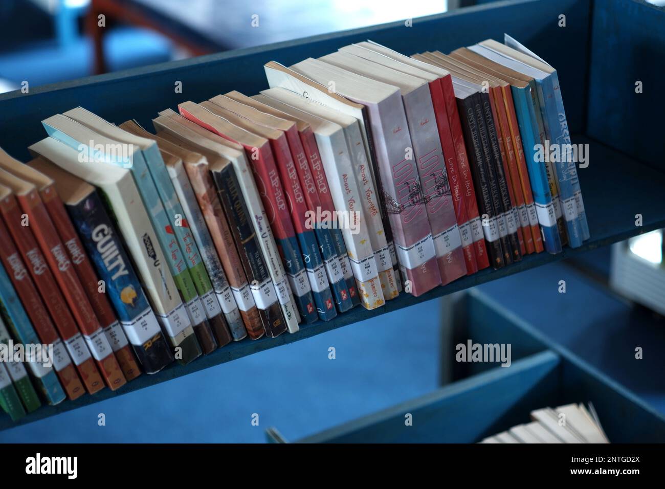 Livres de la bibliothèque qui sont conservés inclinés et soigneusement disposés sur des étagères en fer Banque D'Images