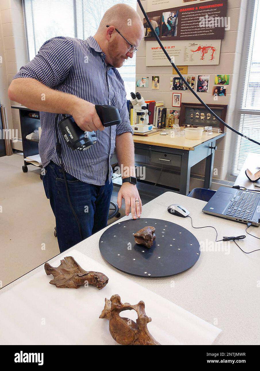 Gary Motz, Indiana Geological and Water Survey Assistant Director for Information Services, uses a 3D scanner to capture images of one of three remaining sloth bones, at the Indiana State Museum in Indianapolis, Feb, 19, 2019. Indiana University is planning to build a replica of giant ground sloth's skeleton that was once a star attraction in its natural history collection but which was tossed out to make room for students during an enrollment surge following World War II. (Indiana University is planning to build a replica of giant ground sloth's skeleton that was once a star attraction in its Banque D'Images
