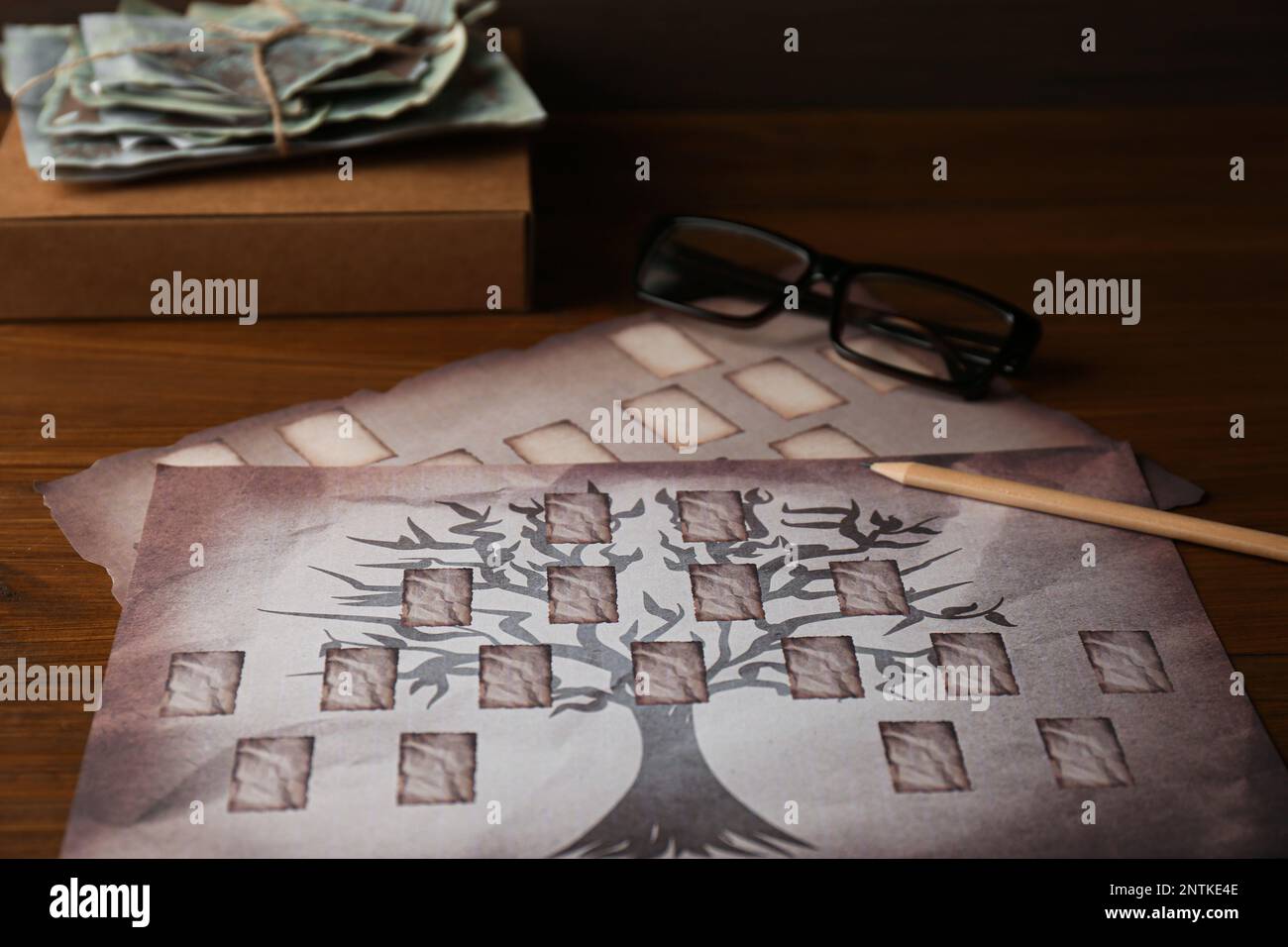 Papiers avec gabarits d'arbre de famille, crayon, photos et verres sur table en bois, gros plan Banque D'Images